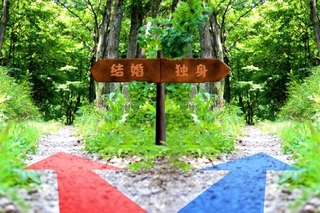 6c90b1e0fe5a070435e610f9757a2794_s.jpg